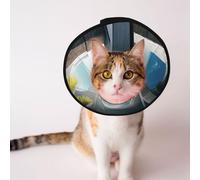 Custom Pet cones - Unique Design Cat & Dog Cone, Collar for Post-Surgery Recovery, Adjustable Neck Beautiful house in the morning M