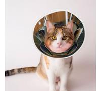 Custom Pet Cones - Unique Design Cat & Dog Cone, Collar for Post-Surgery Recovery, Adjustable Neck Beautiful Reflection, Animal Couple Portrait Small