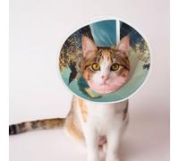Custom Pet Cones - Unique Design Cat & Dog Cone, Collar for Post-Surgery Recovery, Adjustable Neck Beautiful Fairy Tale Rendering Medium