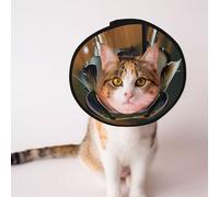 Custom Pet cones - Unique Design Cat & Dog Cone, Collar for Post-Surgery Recovery, Adjustable Neck Beautiful reflection, animal couple portrait M