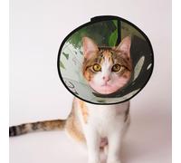 Custom Pet cones - Unique Design Cat & Dog Cone, Collar for Post-Surgery Recovery, Adjustable Neck Cats in exotic jungles L