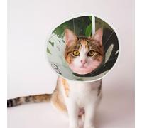 Custom Pet Cones - Unique Design Cat & Dog Cone, Collar for Post-Surgery Recovery, Adjustable Neck Cats in Exotic Jungles Medium