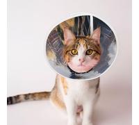 Custom Pet Cones - Unique Design Cat & Dog Cone, Collar for Post-Surgery Recovery, Adjustable Neck Chestnut Train Medium