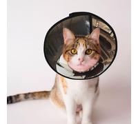 Custom Pet cones - Unique Design Cat & Dog Cone, Collar for Post-Surgery Recovery, Adjustable Neck Close up of Magic Watergate M