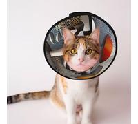 Custom Pet cones - Unique Design Cat & Dog Cone, Collar for Post-Surgery Recovery, Adjustable Neck Colored Mushrooms L