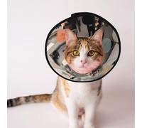 Custom Pet cones - Unique Design Cat & Dog Cone, Collar for Post-Surgery Recovery, Adjustable Neck Colored spots S