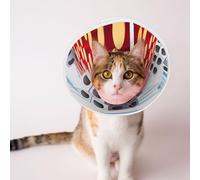 Custom Pet Cones - Unique Design Cat & Dog Cone, Collar for Post-Surgery Recovery, Adjustable Neck Cubes and Vibrant red Large