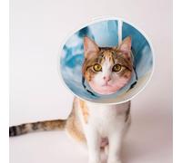 Custom Pet Cones - Unique Design Cat & Dog Cone, Collar for Post-Surgery Recovery, Adjustable Neck Cute Penguins Large