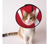 Custom Pet cones - Unique Design Cat & Dog Cone, Collar for Post-Surgery Recovery, Adjustable Neck Danish flag M