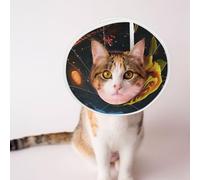 Custom Pet Cones - Unique Design Cat & Dog Cone, Collar for Post-Surgery Recovery, Adjustable Neck Dim Streets with Golden Roses Medium