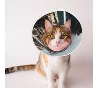 Custom Pet Cones - Unique Design Cat & Dog Cone, Collar for Post-Surgery Recovery, Adjustable Neck Docking at The Port of The Giant Ship Large