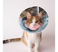 Custom Pet Cones - Unique Design Cat & Dog Cone, Collar for Post-Surgery Recovery, Adjustable Neck European quadrupedal Dinosaur Medium