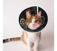 Custom Pet Cones - Unique Design Cat & Dog Cone, Collar for Post-Surgery Recovery, Adjustable Neck Fairy Circle, Dandelion Large