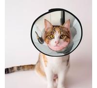 Custom Pet cones - Unique Design Cat & Dog Cone, Collar for Post-Surgery Recovery, Adjustable Neck Fantasy Duck Concept Portrait M