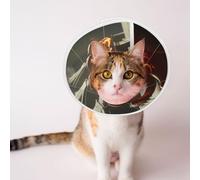 Custom Pet Cones - Unique Design Cat & Dog Cone, Collar for Post-Surgery Recovery, Adjustable Neck Fantasy Art Fire Dragon Small