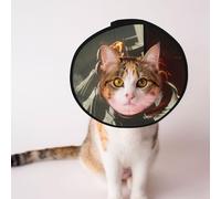 Custom Pet cones - Unique Design Cat & Dog Cone, Collar for Post-Surgery Recovery, Adjustable Neck Fantasy Art Fire Dragon M