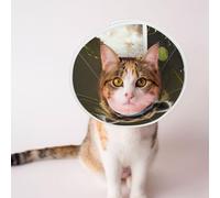 Custom Pet Cones - Unique Design Cat & Dog Cone, Collar for Post-Surgery Recovery, Adjustable Neck Fashion icon Large