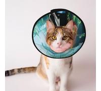 Custom Pet cones - Unique Design Cat & Dog Cone, Collar for Post-Surgery Recovery, Adjustable Neck Fire red Chinese Loong L