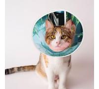 Custom Pet Cones - Unique Design Cat & Dog Cone, Collar for Post-Surgery Recovery, Adjustable Neck Fire red Chinese Loong Medium
