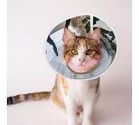 Custom Pet Cones - Unique Design Cat & Dog Cone, Collar for Post-Surgery Recovery, Adjustable Neck Fish Floating in The Bedroom Medium