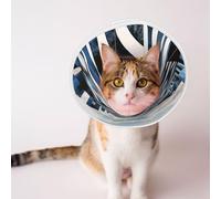 Custom Pet Cones - Unique Design Cat & Dog Cone, Collar for Post-Surgery Recovery, Adjustable Neck Fractal Wave Future City Large