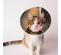 Custom Pet Cones - Unique Design Cat & Dog Cone, Collar for Post-Surgery Recovery, Adjustable Neck German Shepherds Small