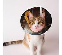 Custom Pet Cones - Unique Design Cat & Dog Cone, Collar for Post-Surgery Recovery, Adjustable Neck Golden Heavenly Light, Rose Background Medium