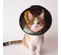 Custom Pet cones - Unique Design Cat & Dog Cone, Collar for Post-Surgery Recovery, Adjustable Neck Golden Heavenly Light, Rose Background L