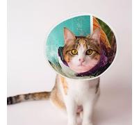Custom Pet Cones - Unique Design Cat & Dog Cone, Collar for Post-Surgery Recovery, Adjustable Neck Half Human, Half Angus Bull Large