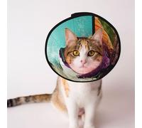 Custom Pet cones - Unique Design Cat & Dog Cone, Collar for Post-Surgery Recovery, Adjustable Neck Half human, half Angus bull L