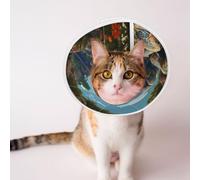 Custom Pet Cones - Unique Design Cat & Dog Cone, Collar for Post-Surgery Recovery, Adjustable Neck Hand Drawn Texture Elephant Large