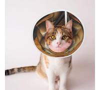 Custom Pet Cones - Unique Design Cat & Dog Cone, Collar for Post-Surgery Recovery, Adjustable Neck Happy Couple Squirrel Small