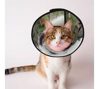 Custom Pet cones - Unique Design Cat & Dog Cone, Collar for Post-Surgery Recovery, Adjustable Neck Happy little dog L