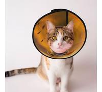 Custom Pet cones - Unique Design Cat & Dog Cone, Collar for Post-Surgery Recovery, Adjustable Neck Happy little dog1 S