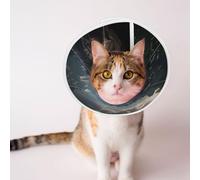Custom Pet Cones - Unique Design Cat & Dog Cone, Collar for Post-Surgery Recovery, Adjustable Neck Happy Scenery Large
