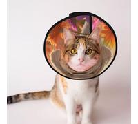Custom Pet cones - Unique Design Cat & Dog Cone, Collar for Post-Surgery Recovery, Adjustable Neck Havana dog L