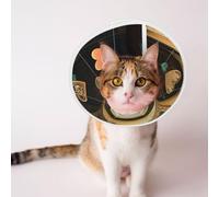 Custom Pet Cones - Unique Design Cat & Dog Cone, Collar for Post-Surgery Recovery, Adjustable Neck Heart Shaped, Floor Small