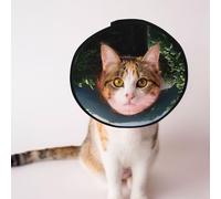 Custom Pet cones - Unique Design Cat & Dog Cone, Collar for Post-Surgery Recovery, Adjustable Neck Heaven's Gate S