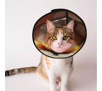 Custom Pet cones - Unique Design Cat & Dog Cone, Collar for Post-Surgery Recovery, Adjustable Neck Hot bird transformation illustration L