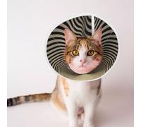 Custom Pet Cones - Unique Design Cat & Dog Cone, Collar for Post-Surgery Recovery, Adjustable Neck Illusionary Surrealist Art Medium