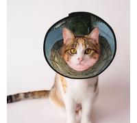 Custom Pet cones - Unique Design Cat & Dog Cone, Collar for Post-Surgery Recovery, Adjustable Neck Iron arc gate pattern S