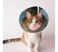 Custom Pet Cones - Unique Design Cat & Dog Cone, Collar for Post-Surgery Recovery, Adjustable Neck Iron arc gate Pattern Small