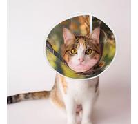 Custom Pet Cones - Unique Design Cat & Dog Cone, Collar for Post-Surgery Recovery, Adjustable Neck Koala Plays Guitar Medium