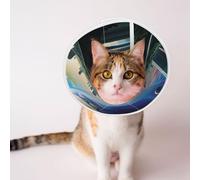 Custom Pet Cones - Unique Design Cat & Dog Cone, Collar for Post-Surgery Recovery, Adjustable Neck Krypton's Dreamlike Space Large