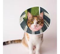 Custom Pet Cones - Unique Design Cat & Dog Cone, Collar for Post-Surgery Recovery, Adjustable Neck Lawn Under Arches and Pillars Large
