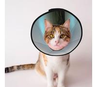 Custom Pet cones - Unique Design Cat & Dog Cone, Collar for Post-Surgery Recovery, Adjustable Neck Lonely Tree L