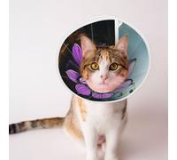 Custom Pet Cones - Unique Design Cat & Dog Cone, Collar for Post-Surgery Recovery, Adjustable Neck Lotus Flowers, Urban Ruins Medium