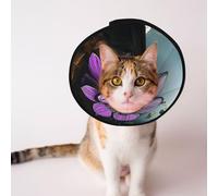 Custom Pet cones - Unique Design Cat & Dog Cone, Collar for Post-Surgery Recovery, Adjustable Neck Lotus flowers, urban ruins S