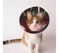 Custom Pet Cones - Unique Design Cat & Dog Cone, Collar for Post-Surgery Recovery, Adjustable Neck Machine Pigs in Underground Bars Large