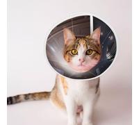Custom Pet Cones - Unique Design Cat & Dog Cone, Collar for Post-Surgery Recovery, Adjustable Neck Miracle Dome Halo Small